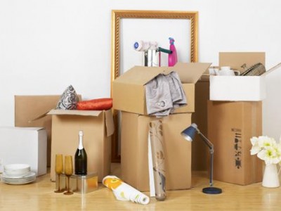 moving-clutter-main