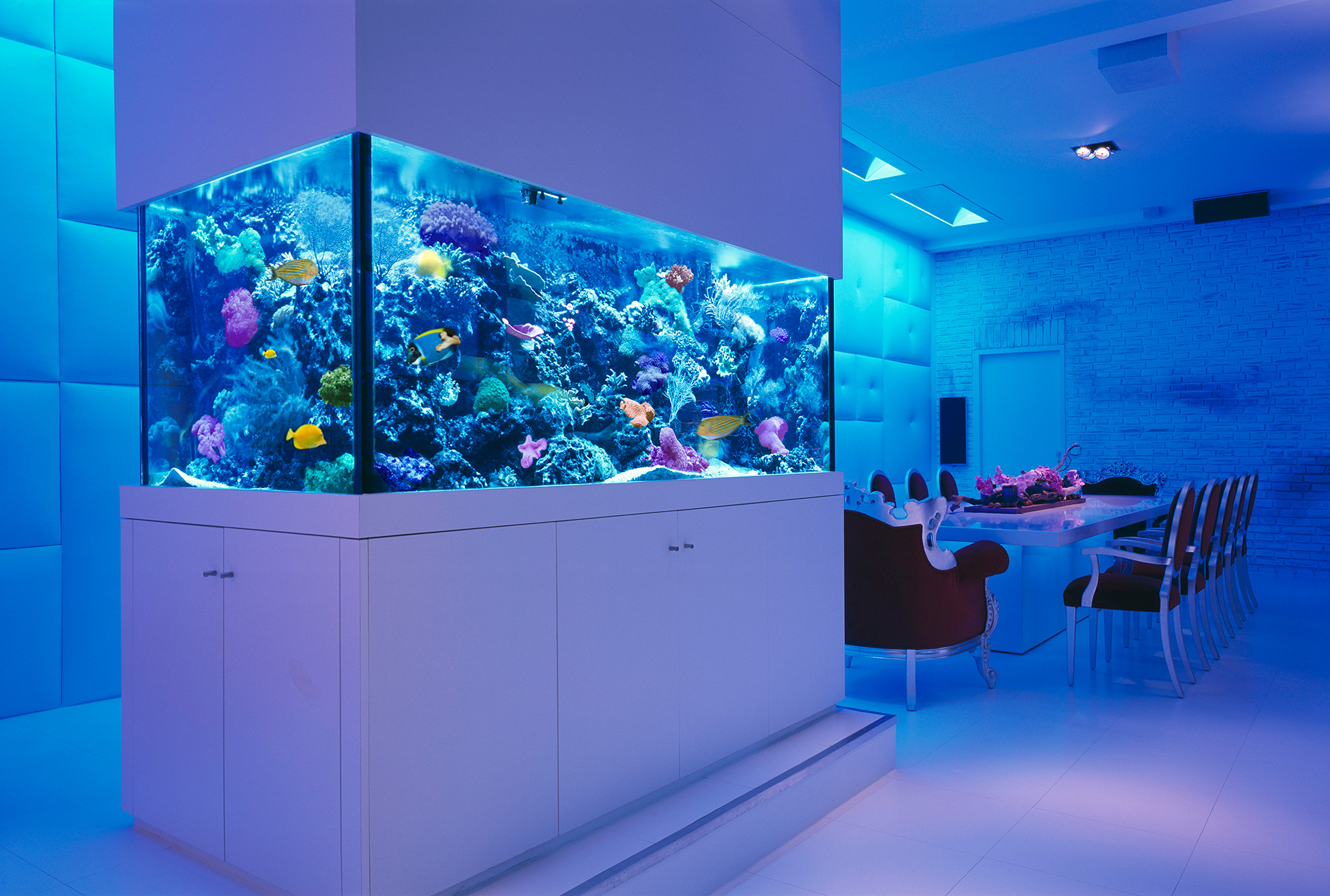 room_3_decorating_ideas_with_aquarium